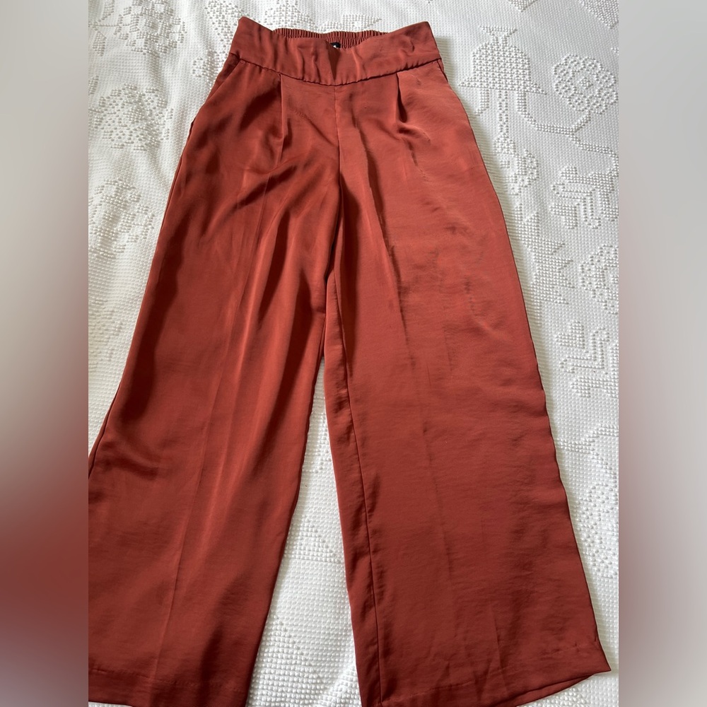 Express Rust Wide Leg Pants